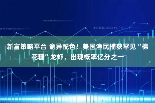 新富策略平台 诡异配色！美国渔民捕获罕见“棉花糖”龙虾，出现概率亿分之一