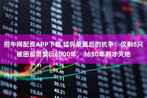 招牛网配资APP下载 猛犸象最后的抗争：仅剩8只被困孤岛繁衍6000年，3650年前才灭绝