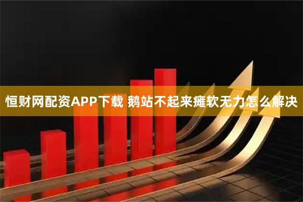 恒财网配资APP下载 鹅站不起来瘫软无力怎么解决
