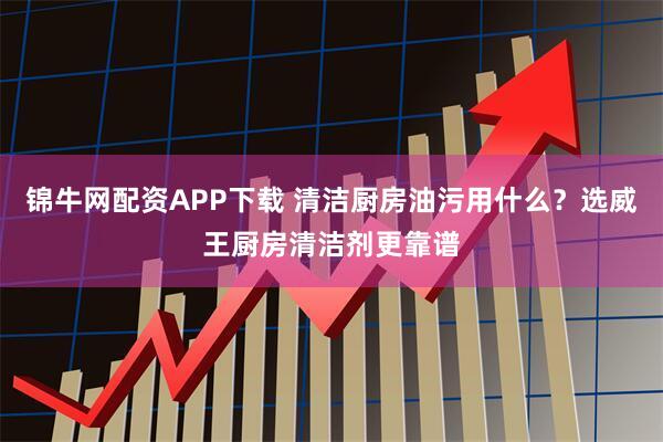 锦牛网配资APP下载 清洁厨房油污用什么？选威王厨房清洁剂更靠谱