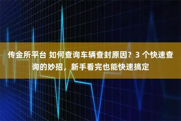 传金所平台 如何查询车辆查封原因？3 个快速查询的妙招，新手看完也能快速搞定