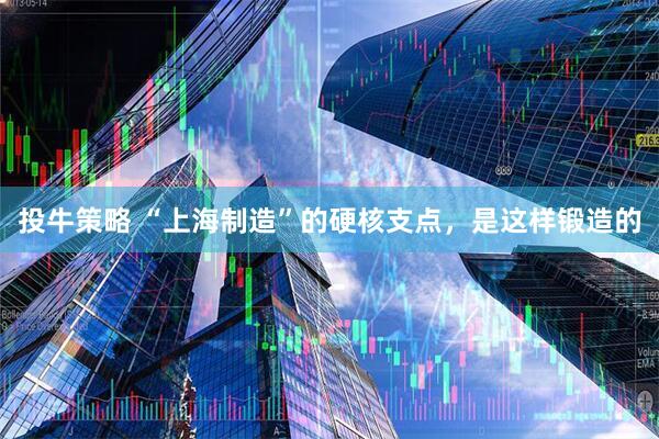 投牛策略 “上海制造”的硬核支点，是这样锻造的